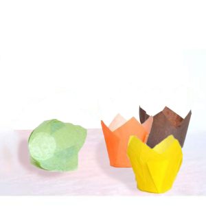 Pirottini tulipano colorati