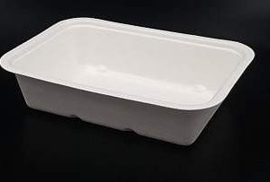 Serie Canna da Zucchero